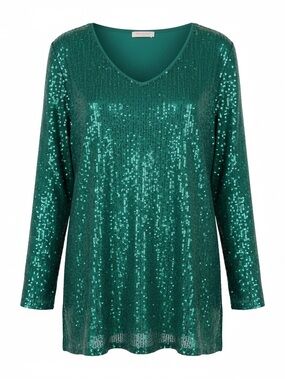 Sequin V-Neck Long Sleeve Top with Pleated Front